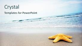  Presentation with tropical beach party - PPT layouts consisting of starfish on the tropical beach background and a sky blue colored foreground