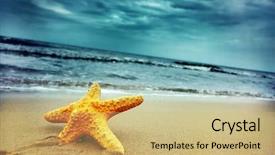  Presentation with tropical beach party - Theme with starfish on the tropical beach background and a yellow colored foreground