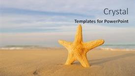  Presentation with starfish - Audience pleasing presentation theme consisting of starfish-on-the-tropical-beach backdrop and a lemonade colored foreground