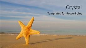  Presentation with starfish - Beautiful slide set featuring starfish-on-the-tropical-beach backdrop and a light blue colored foreground