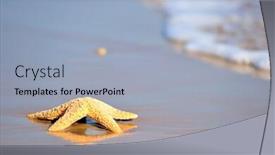  Presentation with starfish - Presentation theme with starfish on wet sand at sunrise sunset background and a light blue colored foreground