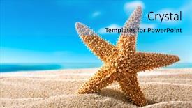  Presentation with beach wedding heart on sand - Presentation theme having starfish or sea star background and a cyan colored foreground