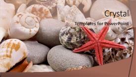  Presentation with shellfish - Slide deck consisting of starfish over shellfish and stones seamless background background and a coral colored foreground