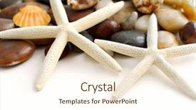  Presentation with starfish - Slides consisting of starfish pebbles and seashells on white background background and a cream colored foreground