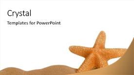  Presentation with page border - Audience pleasing PPT theme consisting of starfish resting in sand lower backdrop and a white colored foreground