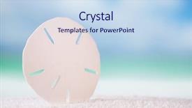  Presentation with sand ocean - PPT layouts enhanced with starfish sand dollar on white background and a sky blue colored foreground