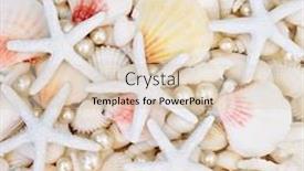  Presentation with pearls - Audience pleasing PPT layouts consisting of starfish-scallop-oyster-pearls backdrop and a lemonade colored foreground