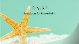  Presentation with starfish - Audience pleasing PPT theme consisting of starfish under the sea backdrop and a mint green colored foreground
