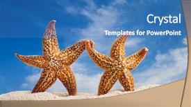  Presentation with old couple walking - PPT theme with starfish walking on the beach background and a teal colored foreground