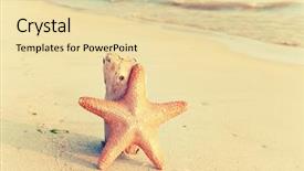  Presentation with beach frame - Presentation theme consisting of starfish with frame on the beach vacation memories background and a blonde colored foreground