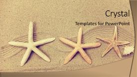  Presentation with beach frame - Cool new presentation design with starfish with frame on the beach vacation memories backdrop and a coral colored foreground
