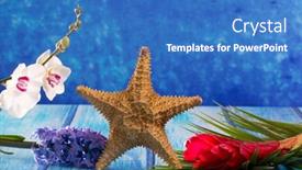  Presentation with blue flower - PPT theme with starfish-with-hyacinth-flower background and a teal colored foreground