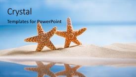  Presentation with starfish - Slide set featuring starfish with ocean beach seascape background and a light blue colored foreground