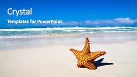  Presentation with fish beach - Theme consisting of starfish with ocean beach background and a teal colored foreground