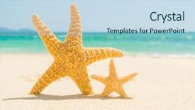  Presentation with starfish - Audience pleasing slides consisting of starfish with ocean beach and seascape shallow dof backdrop and a sky blue colored foreground