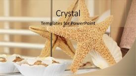  Presentation with orange starfish - Slide deck having starfish with shell and orange salt on a shelf in bathroom background and a coral colored foreground