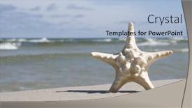  Presentation with starfish - Colorful slides enhanced with rising stars orange blue - starfish backdrop and a light blue colored foreground