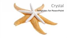  Presentation with starfish - Amazing slide deck having starfish backdrop and a white colored foreground