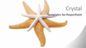  Presentation with starfish - Beautiful presentation featuring starfish backdrop and a white colored foreground