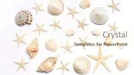  Presentation with shell - Slides enhanced with starfishes-on-white-background-shell background and a cream colored foreground