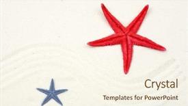  Presentation with white sand - Slides enhanced with starfishes on white sand background and a cream colored foreground