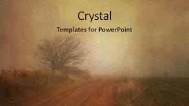  Presentation with applied geomorphology - Theme having stark tree - mysterious foggy landscape background and a  colored foreground