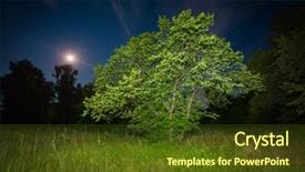  Presentation with green tree - Slide deck with starlight - green tree in night steppe background and a tawny brown colored foreground