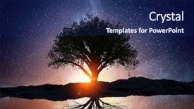  Presentation with starry night - Theme with starry night and tree mixed background and a navy blue colored foreground
