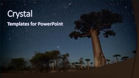  Presentation with moon trees - Theme having starry sky and baobab trees background and a navy blue colored foreground