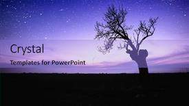  Presentation with tree silhouette - Presentation theme consisting of starry sky over lonely tree background and a light blue colored foreground
