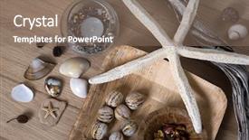  Presentation with shells stars - PPT layouts consisting of stars reminiscent of the summer background and a  colored foreground