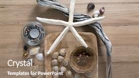  Presentation with shells stars - Colorful PPT layouts enhanced with stars reminiscent of the summer backdrop and a  colored foreground