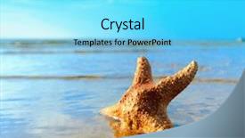  Presentation with star - Audience pleasing slide set consisting of stars space - sea beach star backdrop and a cyan colored foreground