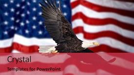  Presentation with eagle flying - Cool new presentation theme with stars stripes - bald eagle flying in front backdrop and a red colored foreground