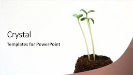  Presentation with floral border over white - Audience pleasing presentation theme consisting of starting - seedlings over a white background backdrop and a cream colored foreground