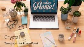  Presentation with books flowers - Slides consisting of stay-home-message-on-display background and a lemonade colored foreground