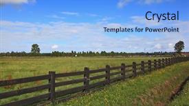  Presentation with herbal medicine healing herbs mortar - Audience pleasing PPT layouts consisting of steady herbal farmer's field backdrop and a  colored foreground
