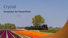  Presentation with steam train - PPT theme consisting of steam-train-with-tulip-field background and a light blue colored foreground