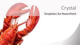  Presentation with seafood - Theme enhanced with steamed lobster seafood on white background and a white colored foreground