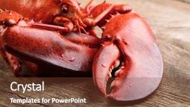  Presentation with food dimsum chinese steamed dumplings - Amazing PPT theme having steamed lobster backdrop and a tawny brown colored foreground