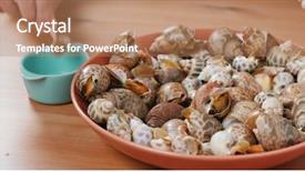  Presentation with satellite dish tv - Audience pleasing presentation theme consisting of steamed snail on the dish backdrop and a  colored foreground