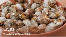  Presentation with snail - Amazing PPT theme having steamed snail on the dish backdrop and a  colored foreground