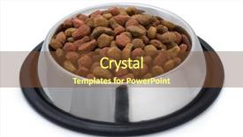  Presentation with pet food - Beautiful slide set featuring steel bowl of pet food backdrop and a  colored foreground