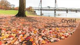  Presentation with steel bridge - Presentation featuring steel bridge over tranquil water on view from tree in park in portland background and a coral colored foreground
