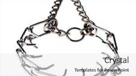  Presentation with steel - PPT theme enhanced with steel dog collar isolated on white background background and a white colored foreground