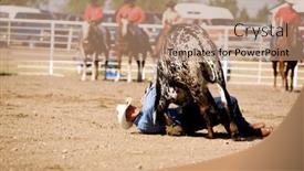  Presentation with rodeo - 