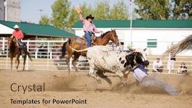  Presentation with rodeo - 