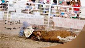  Presentation with rodeo - 