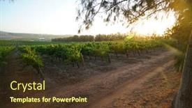  Presentation with south africa - Cool new slide set with stellenbosch-vineyards-south-africa backdrop and a tawny brown colored foreground