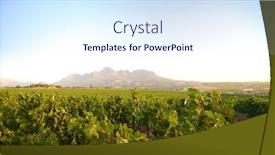  Presentation with vineyards - Presentation design having stellenbosch vineyards south africa background and a sky blue colored foreground